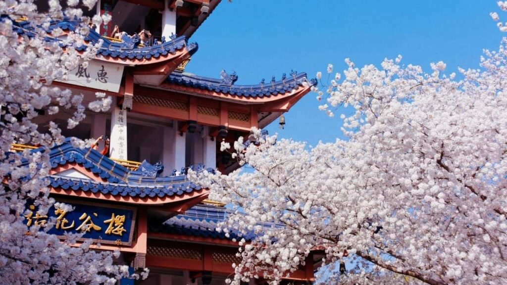 2025 China TikTok All Category Advertising Rate Card Rwanda Market Insights