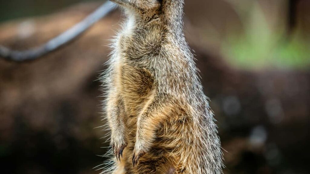 2025 Qatar LinkedIn Amakuru Yibiciro byo kwamamaza ku rwego rwose