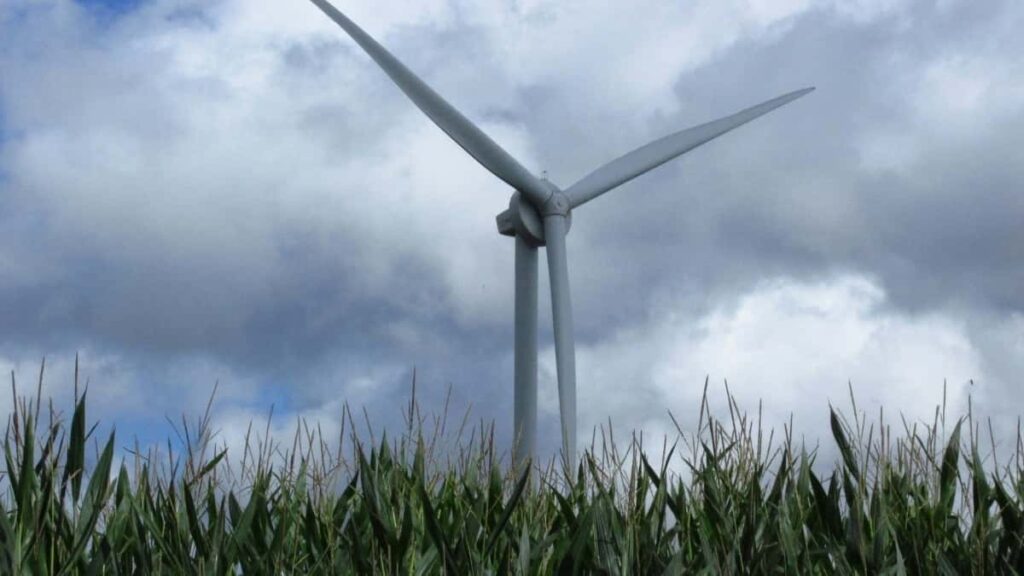 Amakuru Yibanze Kuri 2025 Japan TikTok Advertising Rate Card Rwanda