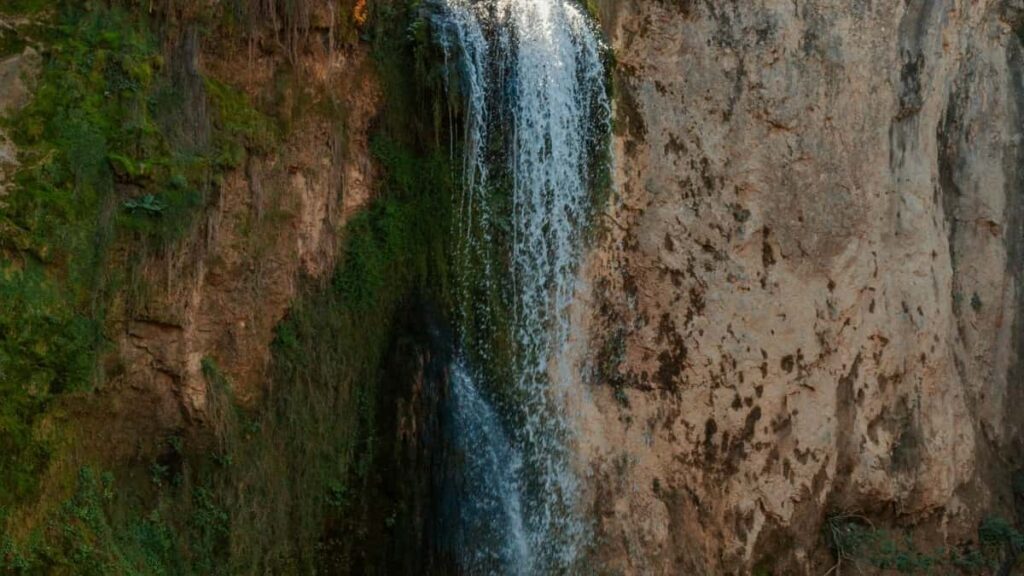 2025 Netherlands Twitter Advertising Rate Card Rwanda Perspective