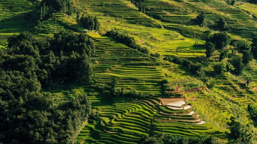 2025 Malaysia Pinterest Ibiciro Byamamaza Byuzuye Kubakora Marketing Rwanda