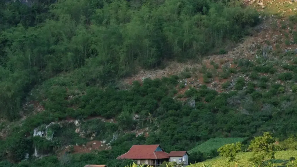 Uburyo abamamaza mu Rwanda bashobora gukoresha TikTok muri Oman gutangiza gahunda y'ubucuti no kongera isoko.