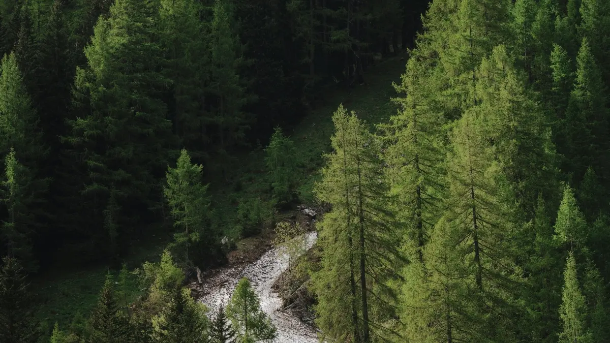 Abakora ibijyanye na fitness: Uko wagera ku masosiyete yo muri Colombia kuri Clubhouse