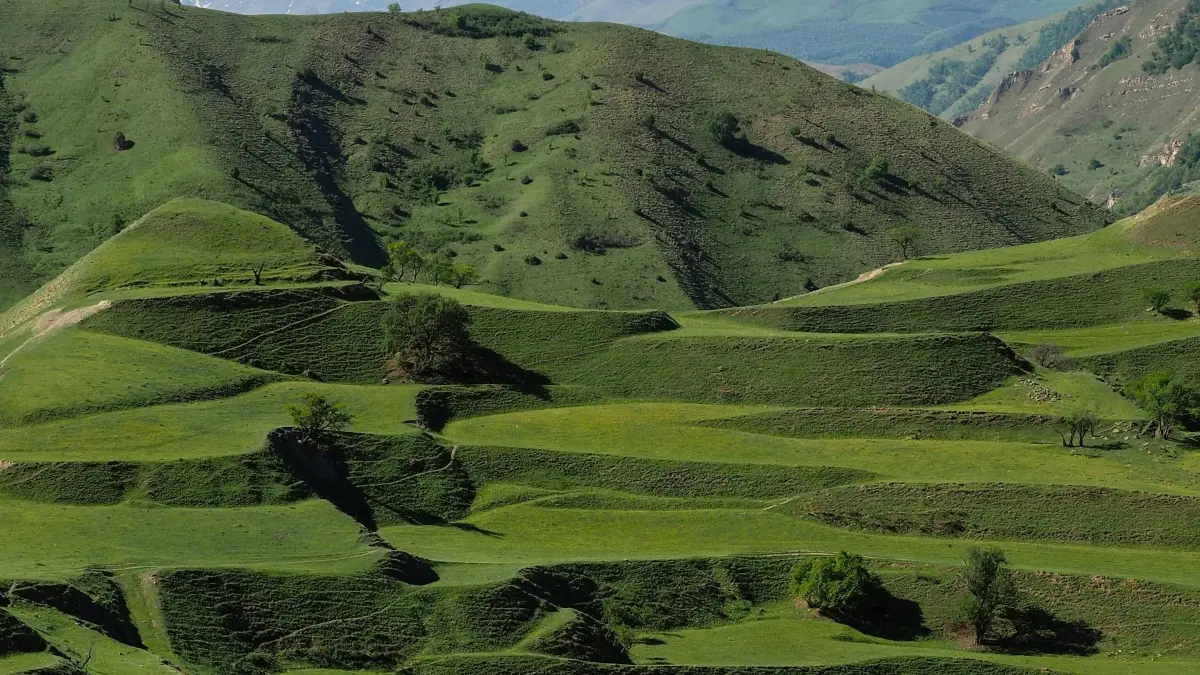 Creators: Get Morocco Amazon Wellness Brands to Collab