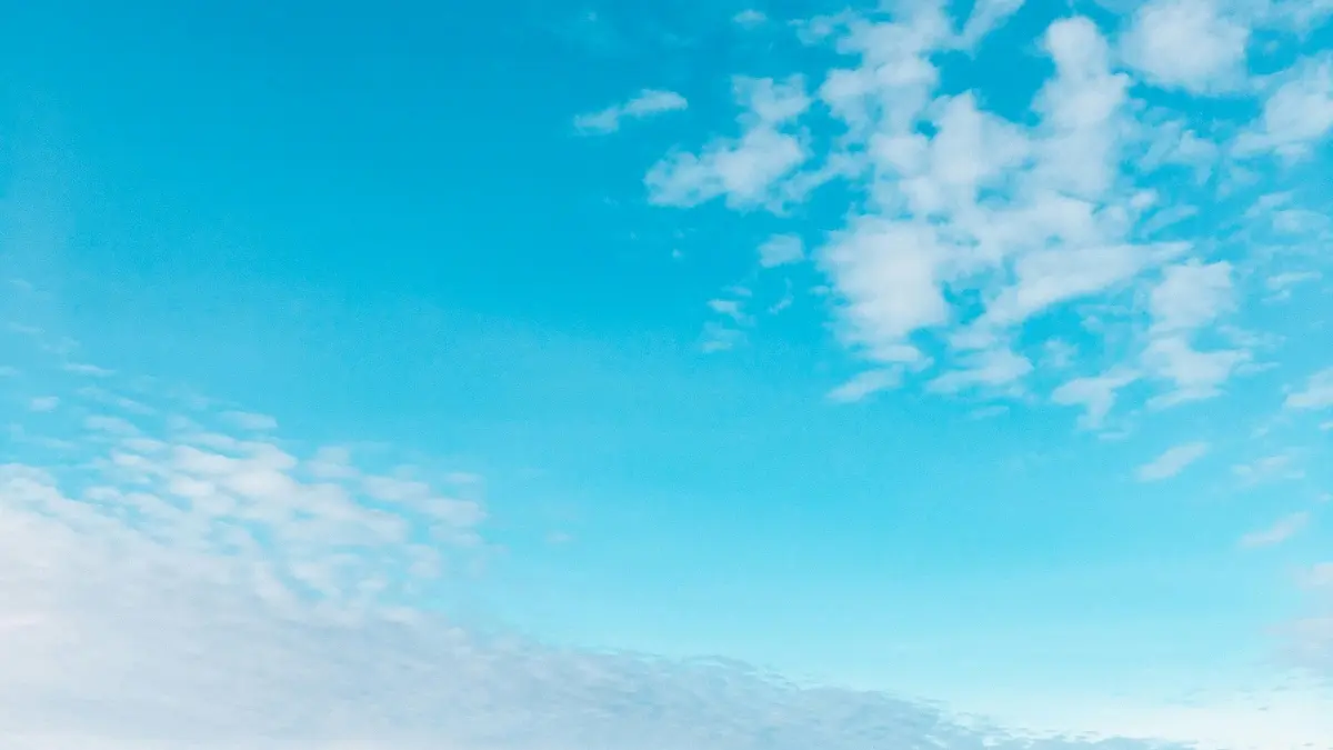Creators: Reach Venezuela brands on Twitter — BTS