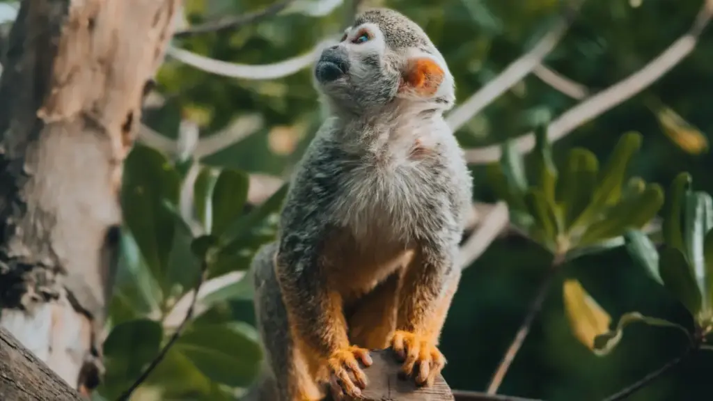 Uburyo bwimbitse kandi bw’umuhigo bwo kugera ku mabandandi yo muri Mexico kuri Twitch, kuva ku research, gushaka contact, kuganira ku mashoramari kugeza ku masezerano y'ubukangurabushake.