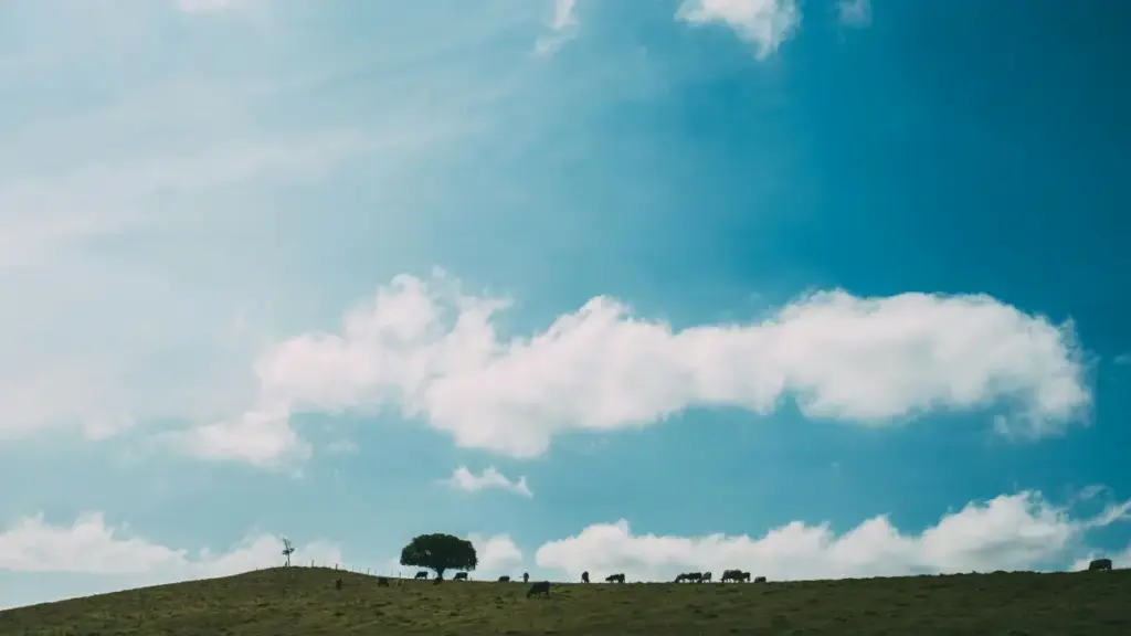 Ubutumwa bunoze ku bakora content mu Rwanda: uko wakora outreach ku brand zo mu Bwongereza kuri Netflix, ukongera hype mbere y'itangwa ry'ibicuruzwa.