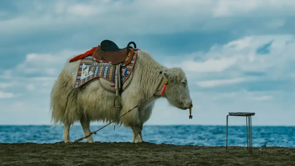 Uburyo bwimbitse bwo kubona no gukorana na creators bo mu Netherlands bakora HBO Max content, uko baboneka, ingamba z'ubufatanye, n'ibyo wakitaho ngo engagement yawe izamuke.