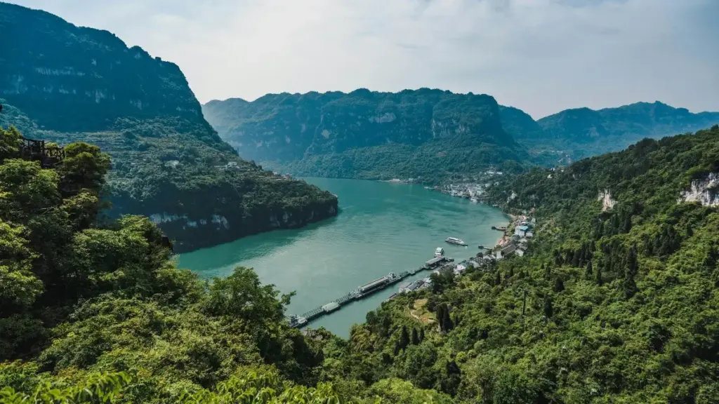 Uburyo bufatika bwo kuvumbura no gukorana na Reddit creators bo mu UAE ku buryo wunguka reach ku bimenyetso by'imibereho myiza — amahoro, amahitamo y'ibikorwa, na tips zo kugenzura ROI.