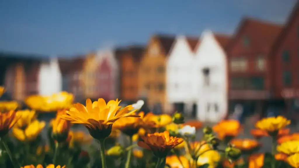 Uburyo bwimbitse bwo kugera ku masosiyete yo muri Bolivia ukoresheje WeChat kugira ngo ukore unboxing videos — ibiganiro, uburyo bwo kuvugana, n'inama z'amategeko n'ubucuruzi.