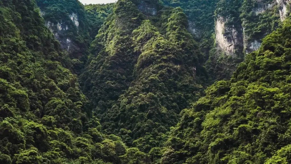 Uburyo bwihuse kandi bufatika bwo guhuza abaremyi bo mu Rwanda n'amashirika yo muri Spain kuri Bilibili ku mishinga ya styling challenges.