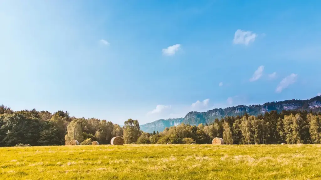 Uburyo bwo gukoresha eBay kugera ku mabirango yo muri Switzerland, uko wabibyaza inyungu mu media kit yawe, n'uburyo sustainability na hyper-personalization byongera credibility.