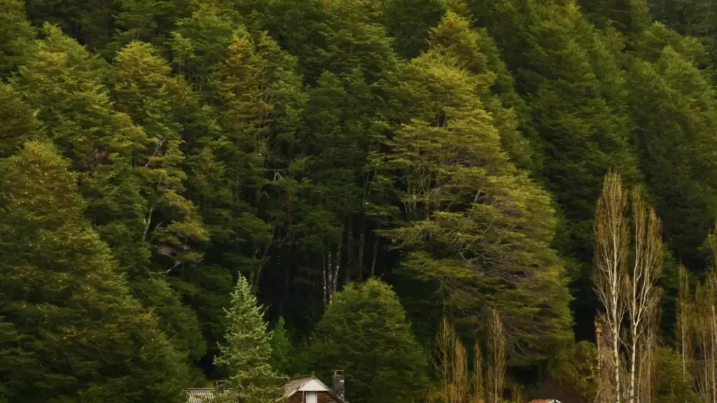 Uko abanyamamaza muri Rwanda bashobora gushakisha no gukorana na creators ba Taobao bazwi mu Busuwisi kugira ngo bamamaze routines za wellness — inama z'umwuga, amahitamo y'uburyo, n'aho kubashakira.