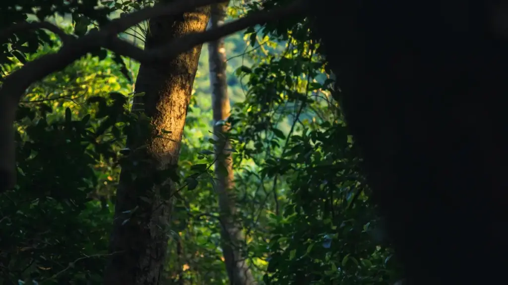 Uburyo bw'imvange: inzira zizewe zo kugera ku masosiyete yo muri Argentina kuri Facebook kugira ngo bakore review za platform zo kwiga — inama zo gutegura pitch, guhitamo target, no gukoresha umuco w'ikoranabuhanga.