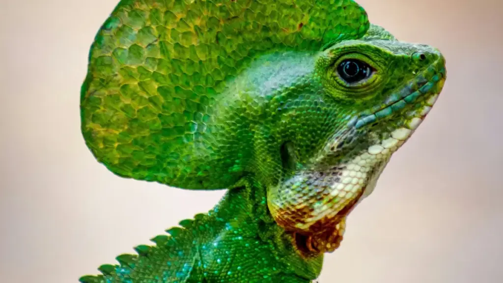 Uburyo bwimbitse bwo kubona no gukorana n’abakora ibiganiro kuri Instagram baturuka muri Sweden, uko uhitamo nano & micro creators, APIs na metrics za performance kugira ngo utezimbere traffic ujya kuri landing page yawe.