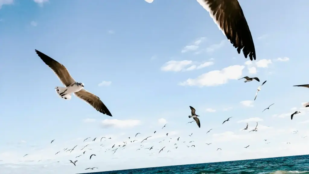 Uburyo bworoshye, bufatika bwo kugera ku masosiyete yo muri Bosnia na Herzegovina kuri Pinterest kugira ngo mugirane imishinga y'ama‑game challenges — inama z'umwuga, amahuriro, na tools zikoreshwa.