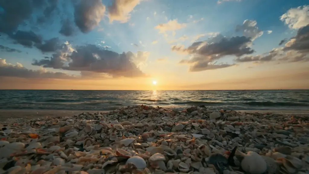Uburyo bworoshye kandi bukora bwo kugera kuri New Zealand brands kuri Josh, kwinjira muri micro-seeding programs, n'amayeri yo guhanga UGC izana conversion.