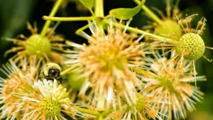 Uburyo bwihuse kandi bw’umwuga bwo kubona no gukorana na Ethiopia Line creators kugira ngo ugerageze SaaS ku nzego z’abakoresha bidasanzwe. Inama z’ahantu, imishinga, n’uko ugenzura imikorere.