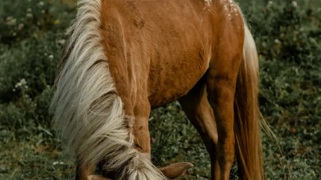 Uburyo bw’imikorere n’amayeri yo kugera ku mamariki ya Myanmar kuri Pinterest no kubaka ubufatanye n’abasohora imikino — inama zifatika, ibyago by’iyamamaza ku bana, n’ingamba zo gukorana neza.