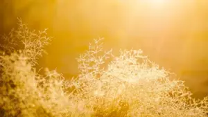 Uburyo bwihuse kandi bw’akazi: aho ubona abarema ibiganiro kuri Twitch muri Poland, uko ubavugana, n’uburyo bwo gupima campagne yawe mu 2026.