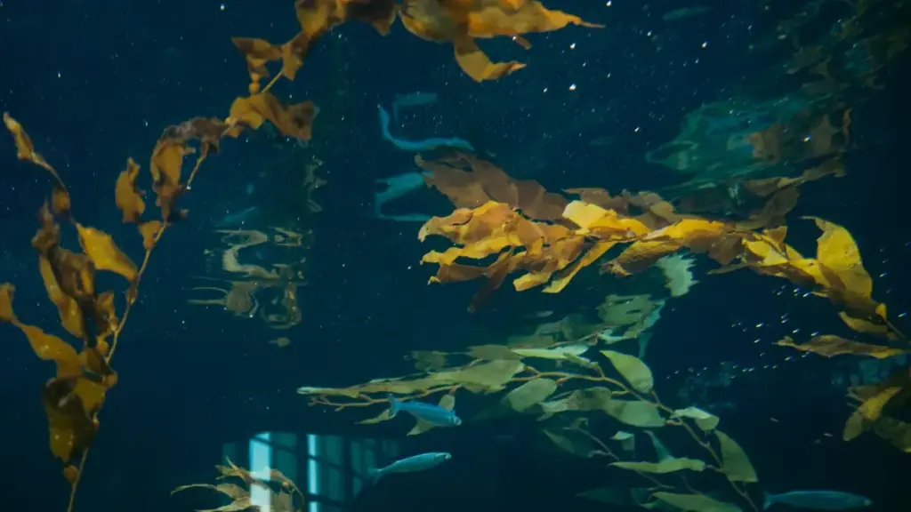 Uru rugendo rwerekana uburyo abakora content bo mu Rwanda bashobora guhuza na brand zo muri Myanmar kuri Instagram kugira ngo bakore productivity guides zifite impact, inzira, n'ibyitegererezo.