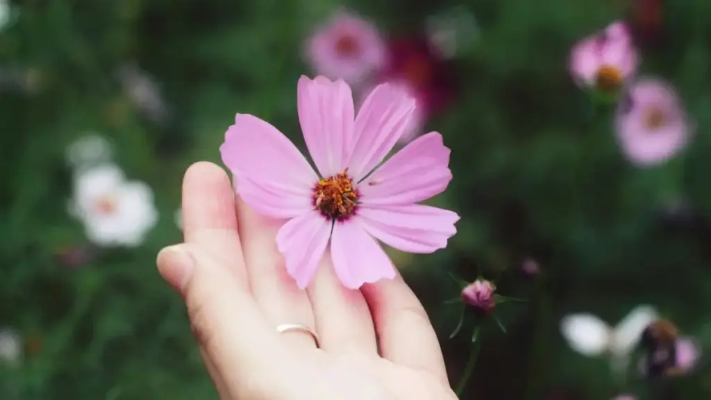 Ubu ni umuyobozi w'imyidagaduro ku buryo bwo kubona YouTube creators bo muri Portugal no gutegura campaigns zishingiye ku engagement—inzira, tools, na risks z'ingenzi.