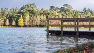 Uburyo bworoheje kandi bw'imikorere bwo kubona abakora content bo muri Latvia kuri Apple Music bakakira amasezerano yishyurwa rimwe (fixed‑fee), hamwe n'inama za MaTitie.