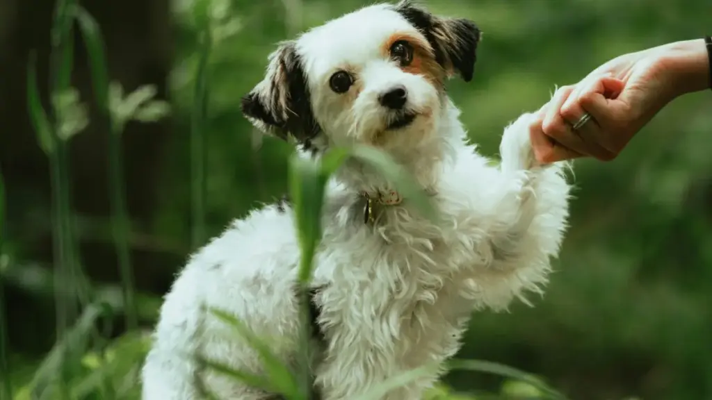 Uburyo bw'imikorere n'amayeri yo kugera ku masosiyete zo muri Sri Lanka kuri WeChat kugira ngo ubone gutorwa mu makampanyi y'ibigo. Inama z'ibikorwa, urugero rwa M One Group, n'uko wakubaka umubano ufatika.