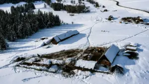 Menya uko wabona creators bo muri Bahrain kuri Apple Music, ugahuza ubutumwa bwa brand mu livestreams, hamwe n’imbuto z’imigendekere n’uko wabanza kubipima.