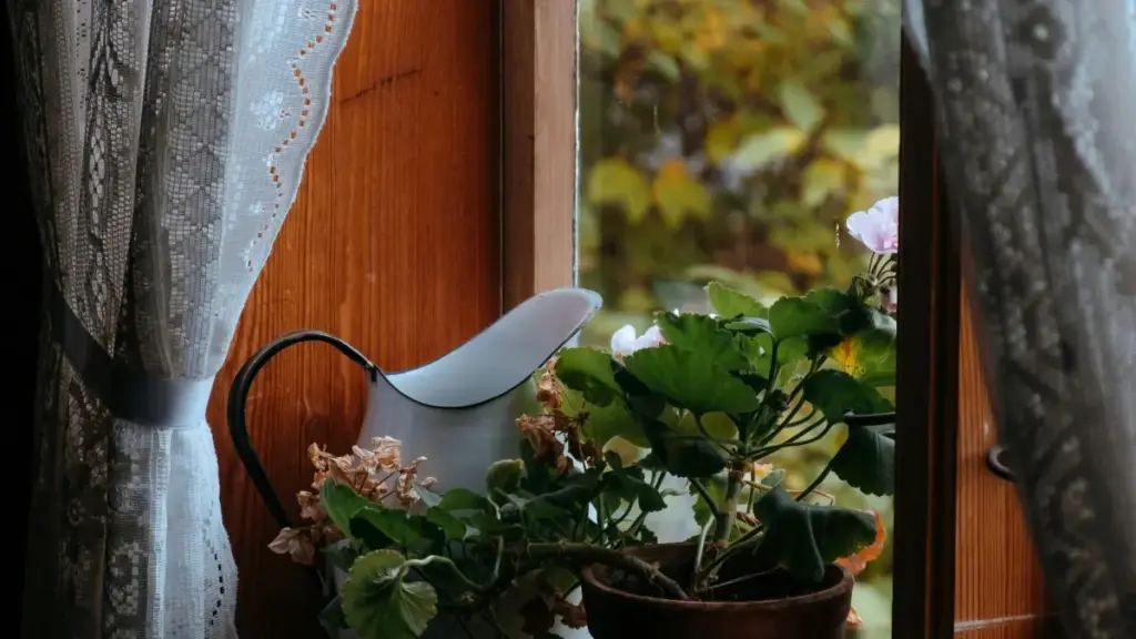 Dore uburyo bwo kubona brands zo muri Cyprus kuri Pinterest, kubandikira neza, no kubaka fitness content ifite chance yo kugurwa no gusangizwa.