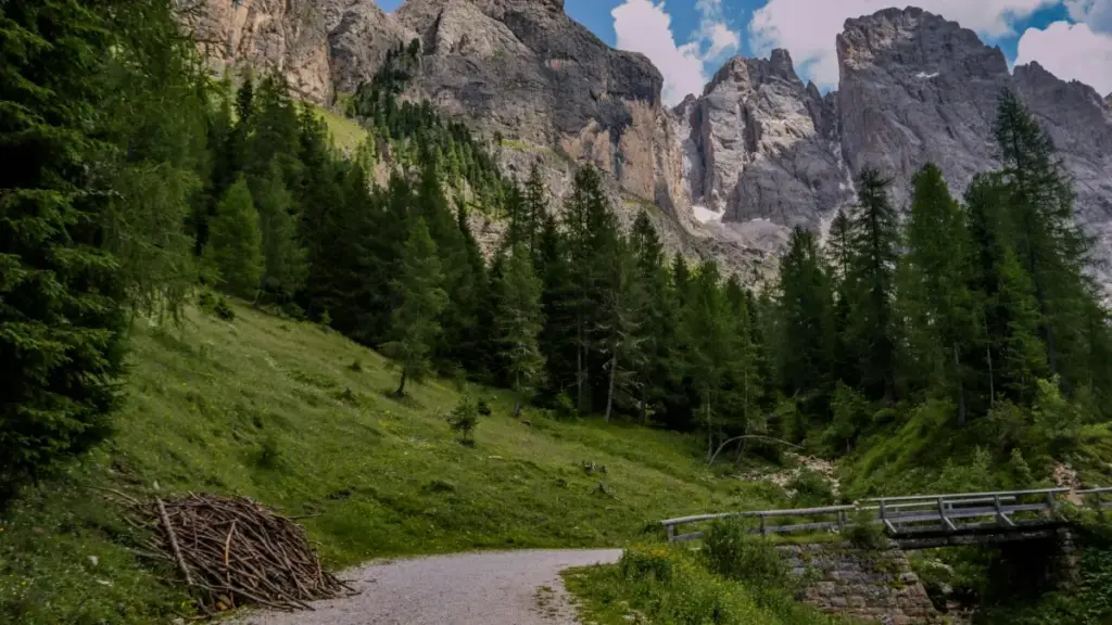 Menya uburyo bwo kubona creators bo muri Côte d’Ivoire kuri Spotify no kubakoresha mu kongera kugaragara k’umurongo w’ibicuruzwa byawe.