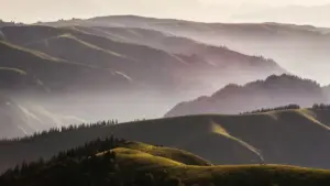 Uko wabona abarema ibikubiyemo muri Kenya bakora unboxing ifite imbaraga, ukabihindura ibicuruzwa bigurishwa n’inkuru zishyushye.