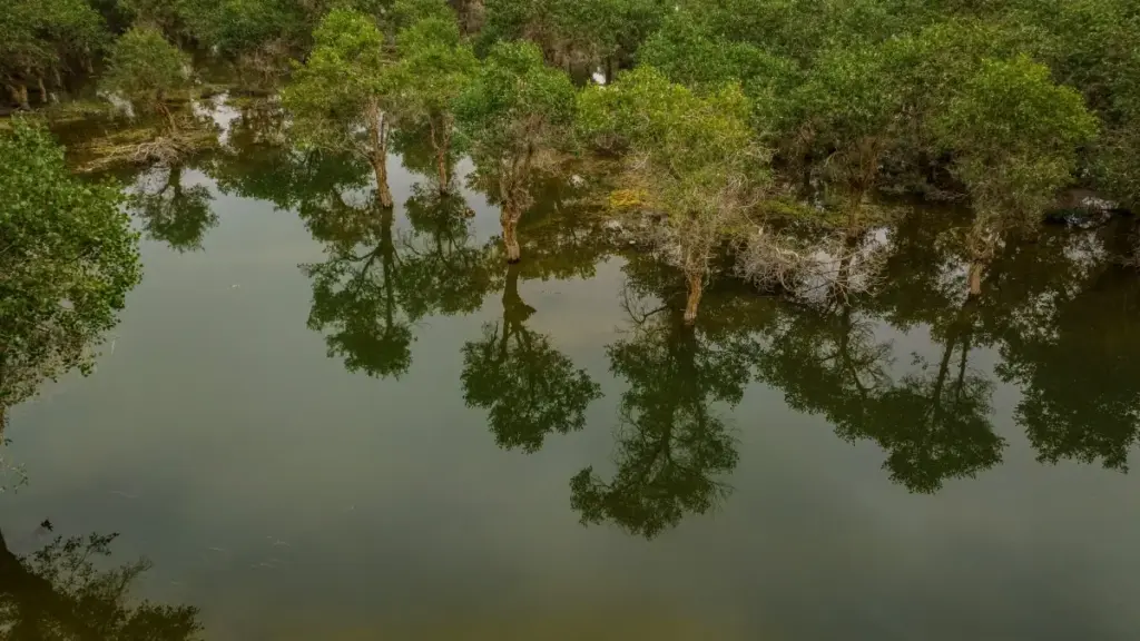 Uko wabona creators bo muri Slovakia bakoresha Hulu kugira ngo bazamure ubucuruzi bwawe online; inama zishingiye ku myitwarire y’isoko, amahuriro, n’uburyo bwo gukorana neza.